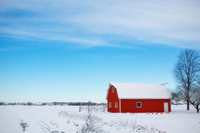 farm bankruptcy