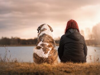 Utah bankruptcy fresh start today